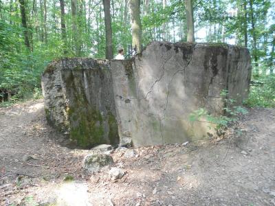 DSCN1218.JPG