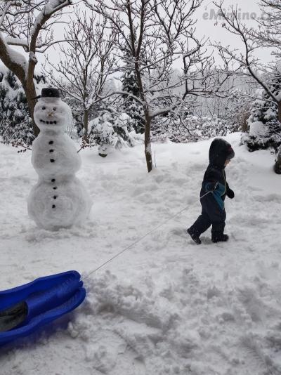 IMG_20190105_113829.jpg