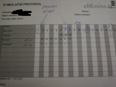 Stimulační protokol