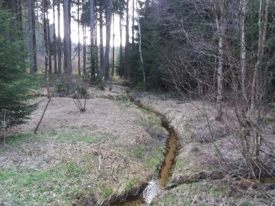 20190411_151420.jpg