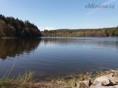 20190425_144917.jpg
