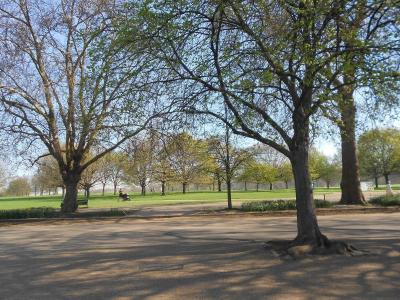 DSCN0715.JPG