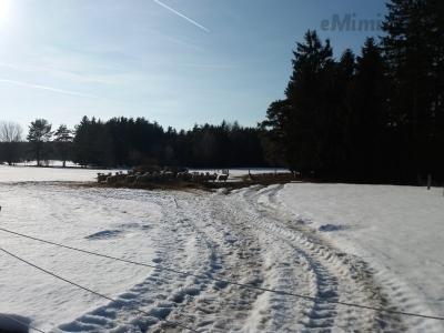 20190219_145250.jpg
