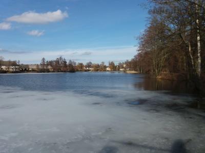 20190306_151406.jpg