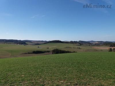 20190401_153736.jpg