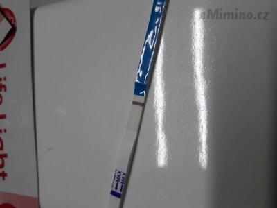 20181112_110312.jpg