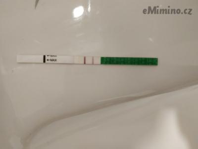 7091028.jpg
