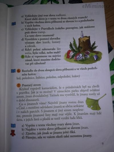 IMG_20180908_161626.jpg