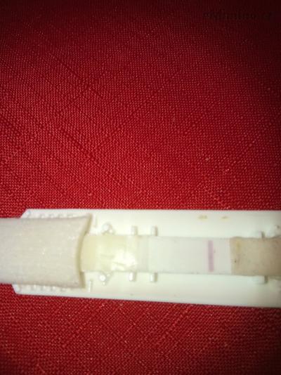IMG_20180817_130248.jpg