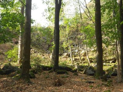 DSCN1386.JPG