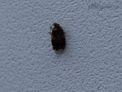 B6D02AD7-029A-4986-B8E2-0DEBD01A4DC2.jpeg