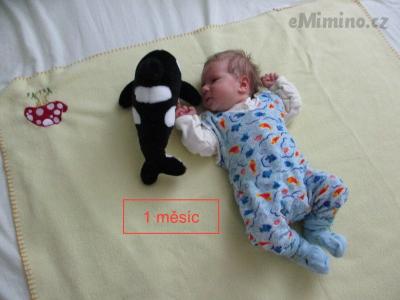 1 měsíc.JPG