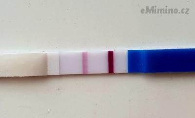 15 DPO listopad.jpg