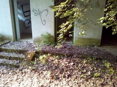 IMG-20180513-WA0004.jpg