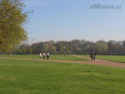 DSCN0708.JPG