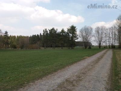 20190409_141142.jpg