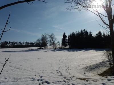 20190219_143220.jpg