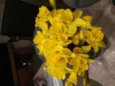 IMG_20190307_210659.jpg