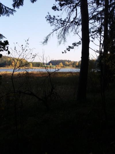 20181017_152406.jpg