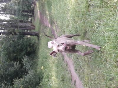 20180615_161417.jpg