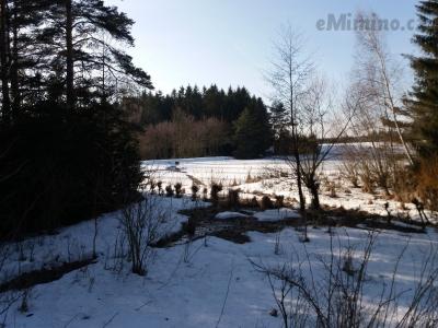 20190219_144239.jpg