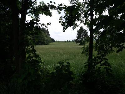 20180524_135306.jpg