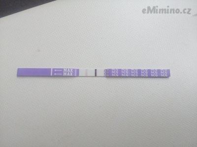 tt31.3..jpg