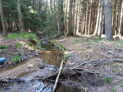 20190425_151152.jpg