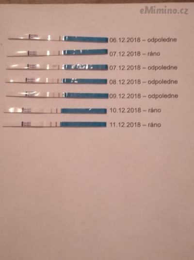 IMG_20181215_212248.jpg