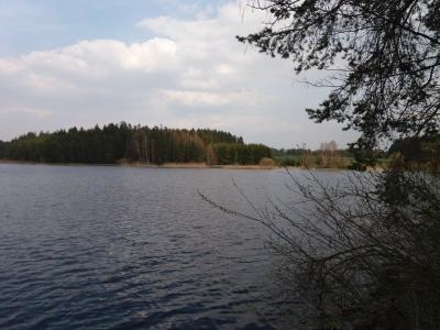 20190409_160238.jpg