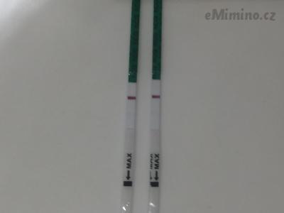 4884C1A9-C9DB-4415-BD93-24FD0FD297E5.jpeg