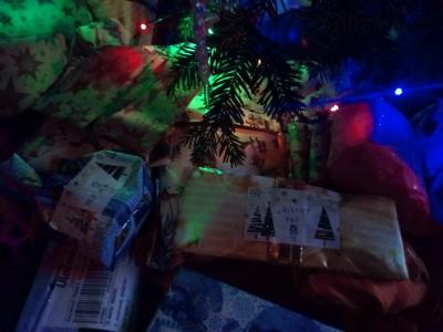 IMG_20181224_154733.jpg