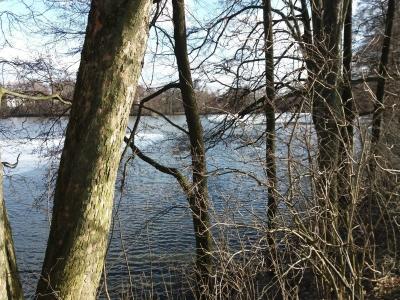 20190306_150748.jpg