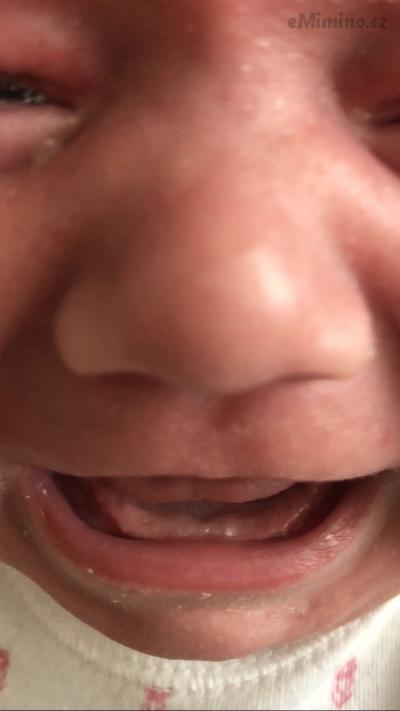 9E3BFB05-E7F1-4A84-AC25-7AE6AE6F58A0.png