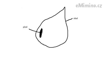 obal.png