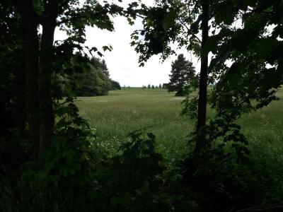 20180524_135309.jpg