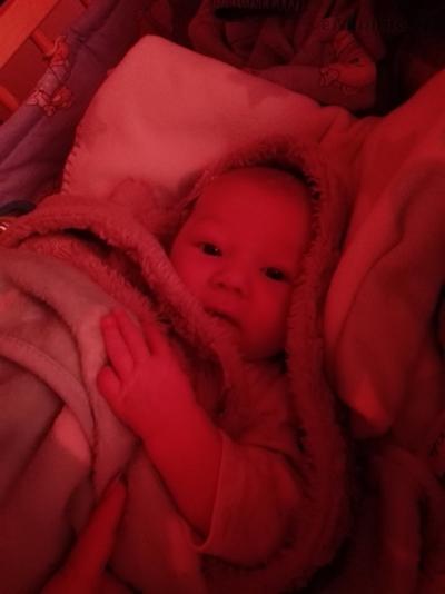 IMG_20180928_081023.jpg