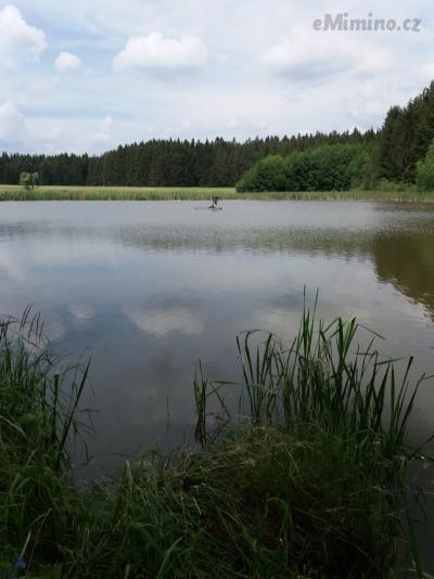 20180524_135233.jpg