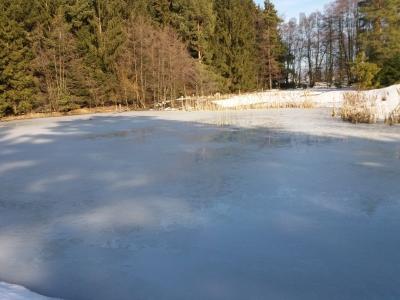 20190219_144157.jpg