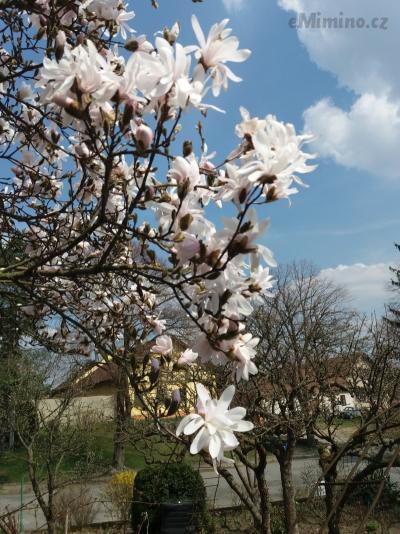 20190409_140312.jpg