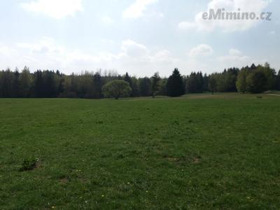 20190424_145255.jpg
