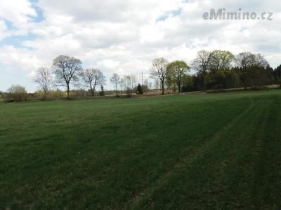 20190422_145204.jpg
