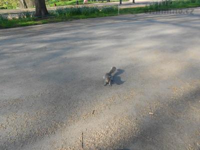 DSCN0716.JPG