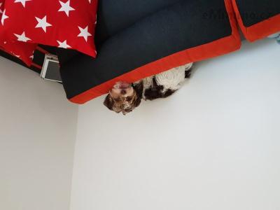 20180416_170057.jpg