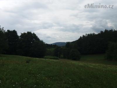 20180712_130801.jpg