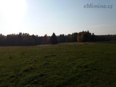 20181017_153758.jpg