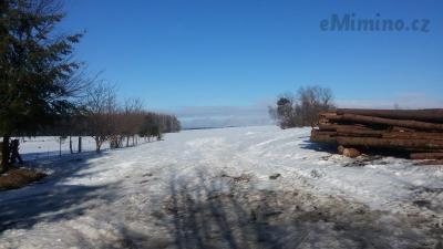 20190214_141003.jpg