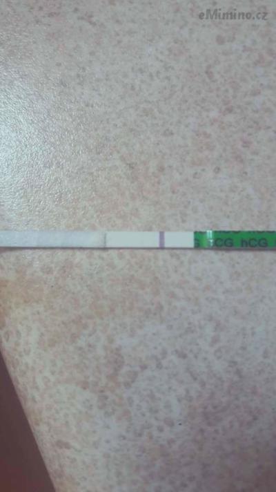 received_1667290780026032.jpeg