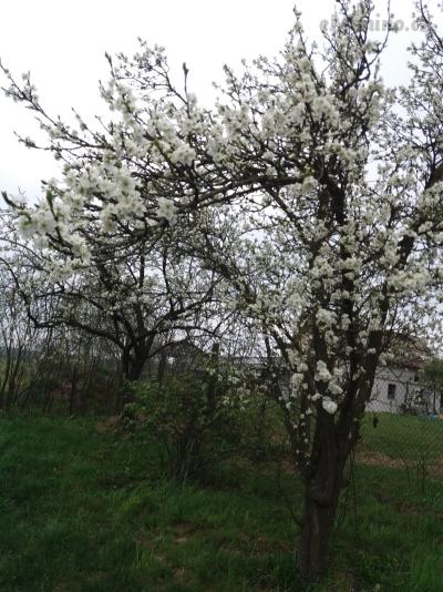 20190423_145740.jpg