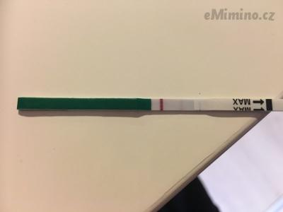 D668EA02-EE02-4F30-B1E9-8CD70A1A1982.jpeg